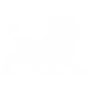 Lioncap Ventures